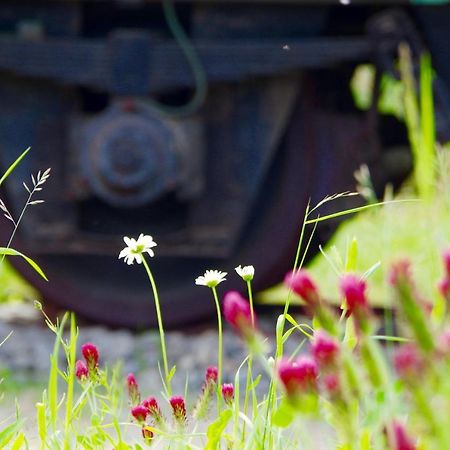 라우터바흐 Urlaubsbahnhof-Schlafwagen 빌라 외부 사진